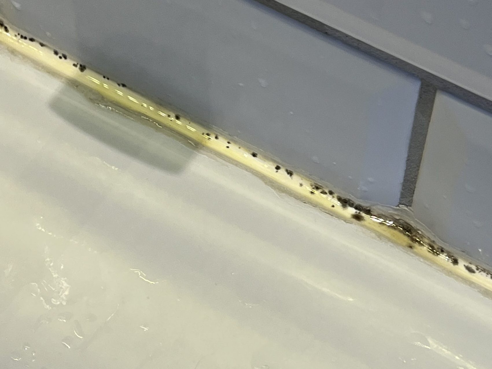 Fuge med sorte pletter